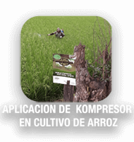Compresor cultivo arroz