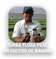 Turba flora