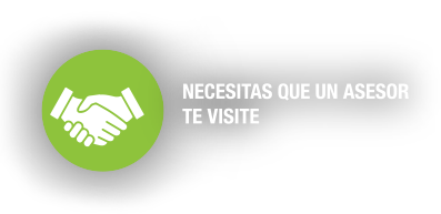 Visita de asesor