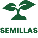 icon semilla