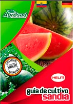 agrosad guia cultivo sandia portada