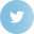 footertwittericon