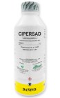 cipersad-web
