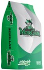 morgan2