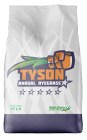 TYSON ANUAL RYEGRASS